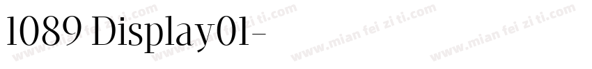 1089 Display01字体转换